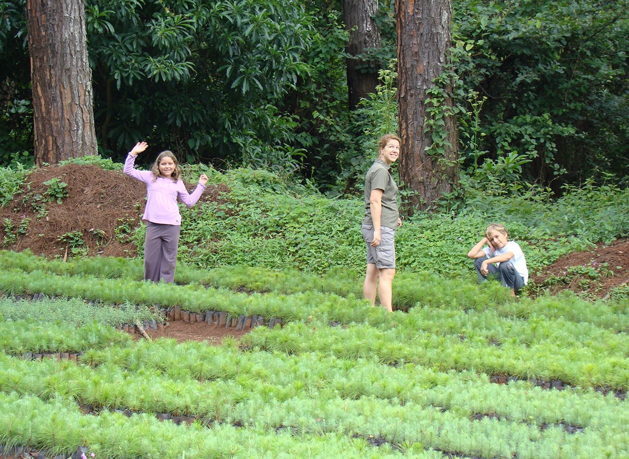 activities_0004_tree planting