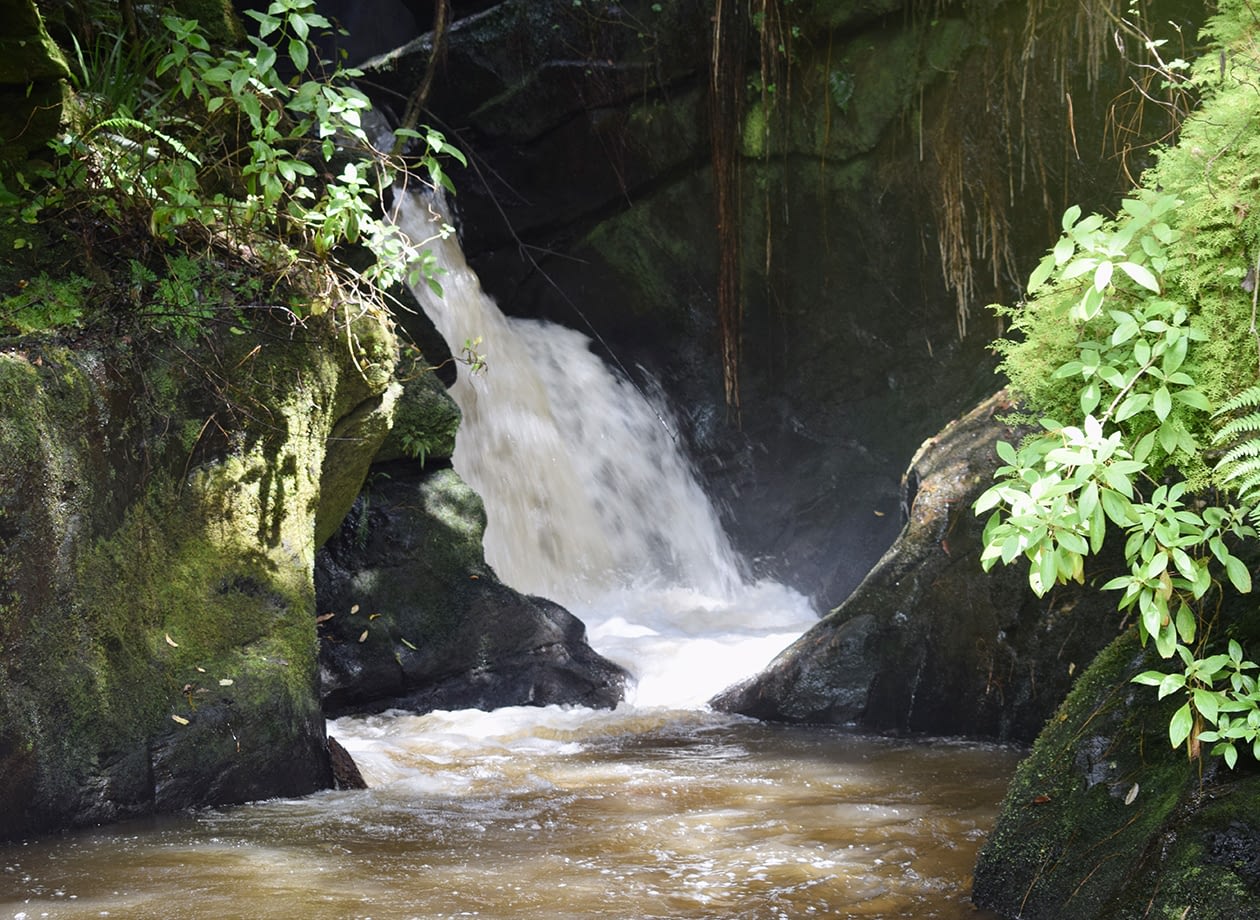 around-luwawa_0001_DSC_0035
