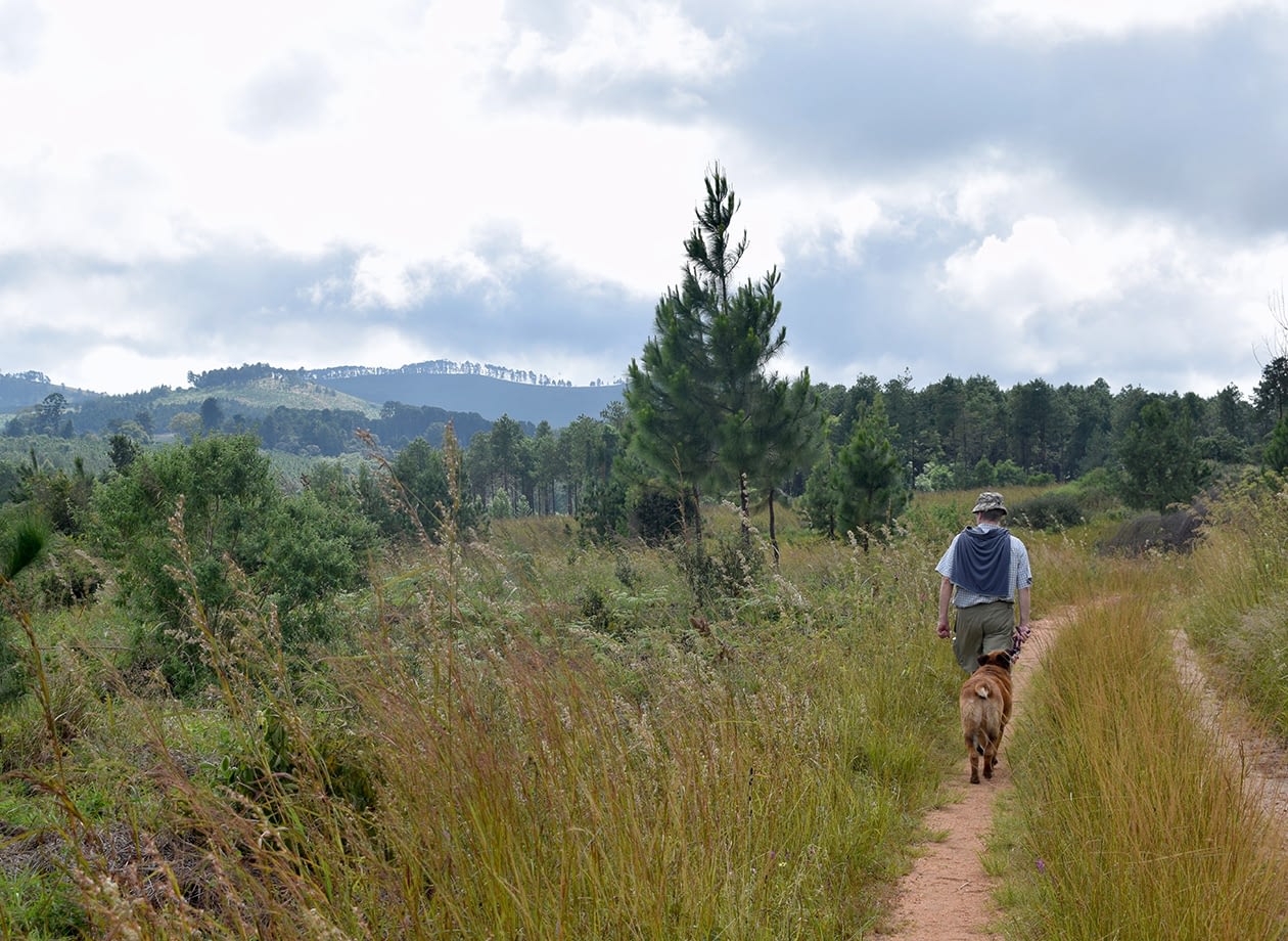 around-luwawa_0008_DSC_0125