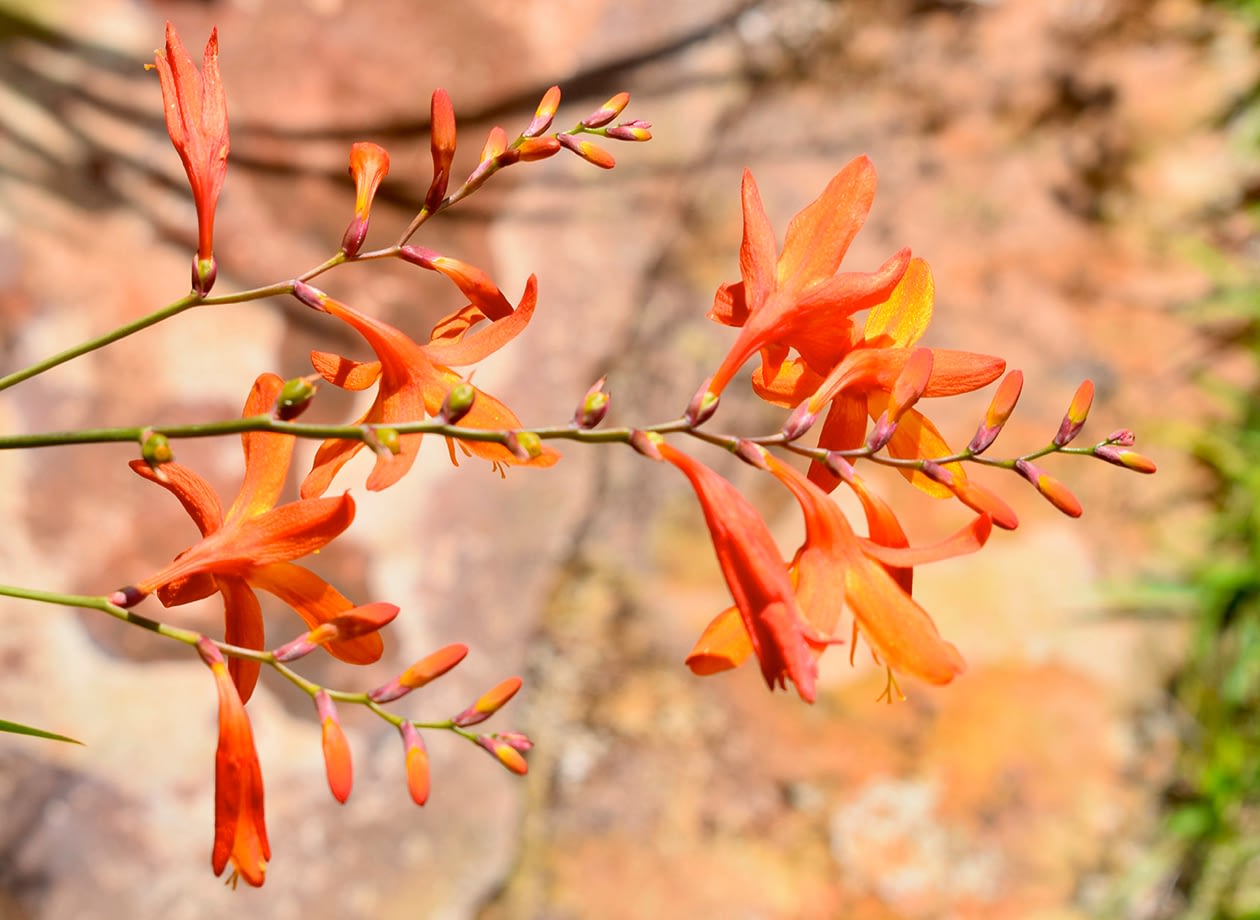 around-luwawa_0002_DSC_0050