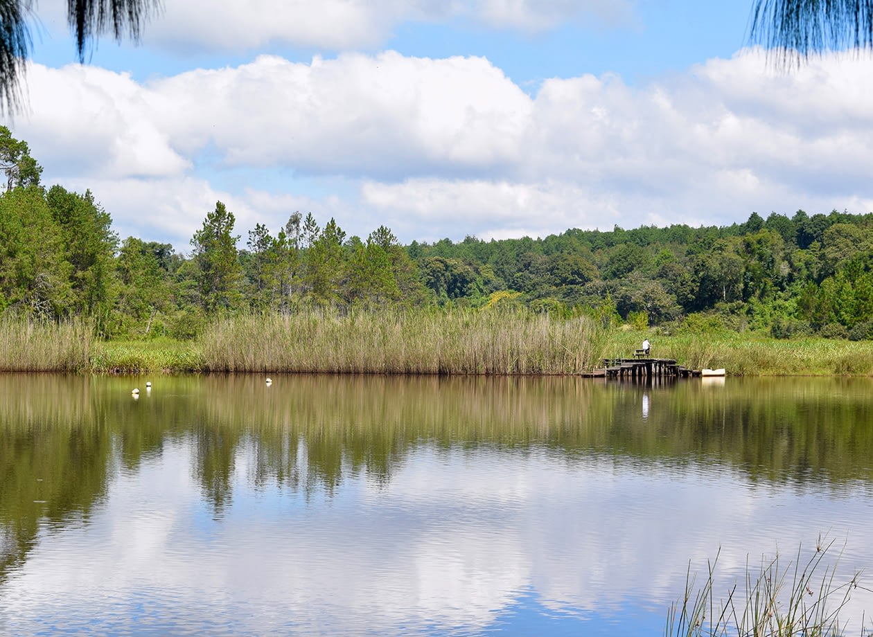 around-luwawa_0009_DSC_0026 (1)
