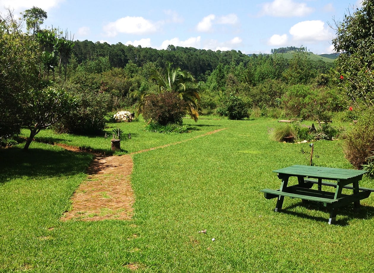 lodge-garden-large_0008_IMG_3742
