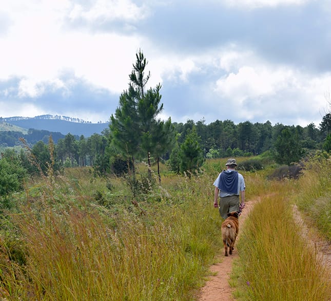 hiking-stroll